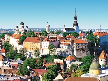Blick über die Dächer von Tallinn